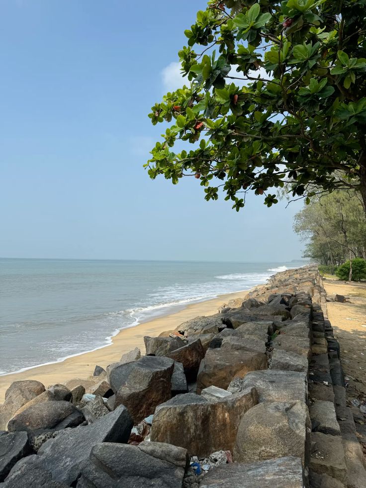 offer-image